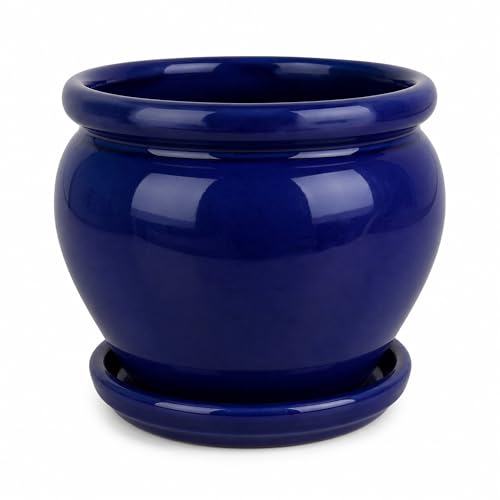 Maceta Coco cerámica Azul Cobalto 23 cm, macetero Decorativo para Plantas Interior Exterior terraza jardín