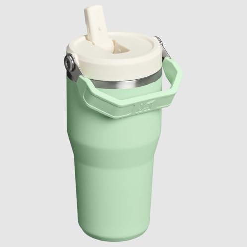 Image of Flip Straw Tumbler | 20 OZ by Stanley