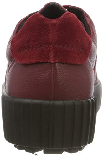 Westland Montreal W 12, Scarpe da Ginnastica