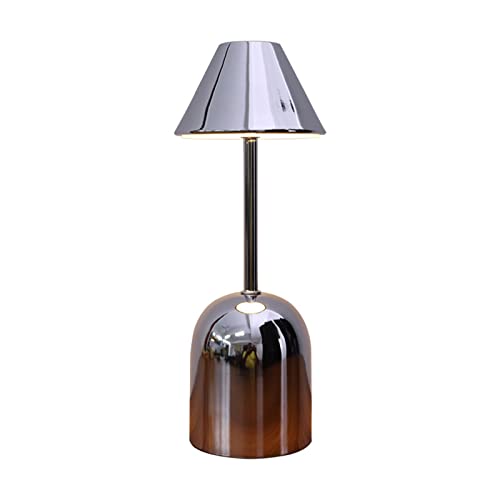 Lampe de bureau portable FANDIAO pour lecture et étude au lit