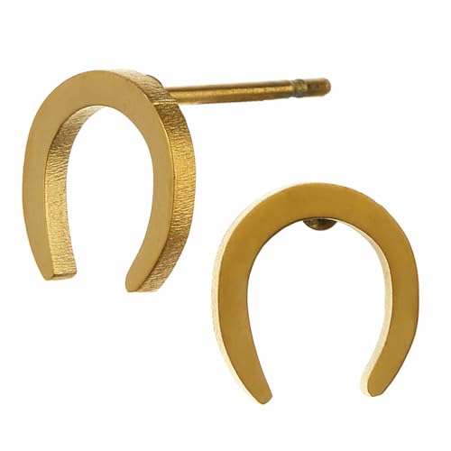 Piena sAX fB[X Y T[WJXeX p n n^ z[XV[  AM[Ή (S[h)