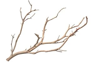 Kahee's Plants Manzanita Branches from Real Manzanita, Sandblasted 12" to 48"