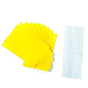 Allein 24 stuks gele stickers, kleine gele borden, dubbelzijdige gele borden, zelfklevende vliegenval voor kamerplanten, gele vliegenvangers, kleverige insectenvallen en incl. 24 kabelbinders