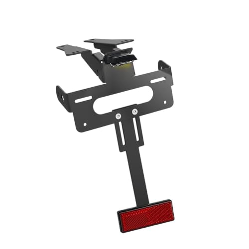 Support de Plaque Moto Arrière pour Speed Triple 1200 RS RR 2021-2025