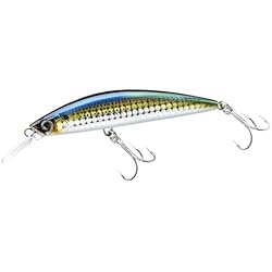 Señuelos Duel DUEL Heavy Minnow 90S F1189-HKS