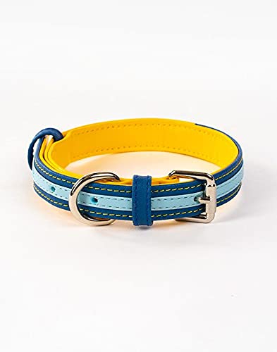 The Pawpstar Co. by Aditya Birla New Age Leather Collar for Dogs (Minion, Small)