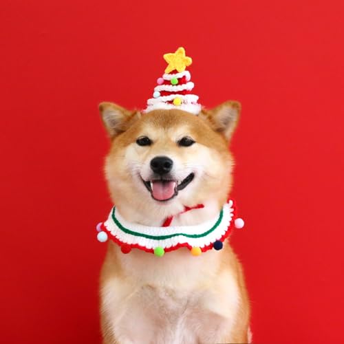 Disfraz para perros pequeños gorro y bufanda navideña miniatura 6