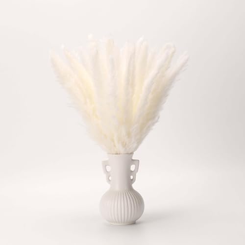 White Pampas Grass Dried Flowers for Vase - Elegant Dry Flowers for Home Decor, Scandi Boho Style, White Bunny Tails for Chic Interior Decoration. IMPORTANT TO FOLLOW INSTRUCTIONS FOR BEST RESULTS