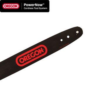 Preisvergleich Produktbild Oregon 554874 Führungsschiene 35cm Cts