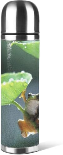 ^   XeX| }O{g T[XJbv ^fM P[^C}O ۉ ۗ y e 500ml {g Rbv t [sAi]