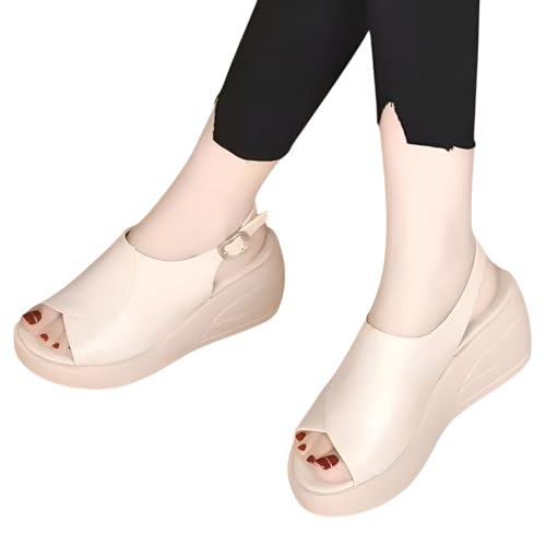 [Weweia] ~߃T_ p EFbWq[ŉKAėpt@bVɂ҂ EhgDfUC zCg ubN JWAo  measurement_35_point_0_centimeters