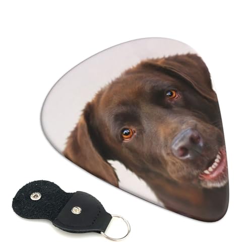 �v���X�`�b�N�s�b�N ���킢������G���L�M�^�[�s�b�N ���F���u���h�[�� ���g���[�o�[ ���x���_�[�� Abs�f�� �G���N�g���b�N �A�R�[�X�e�B�b�N ���y�� ���S�� �g���C�A���O�� �s�b�N 6���Z�b�g 0.46mm