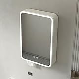 Specchio Bagno Contenitore con LED, Telaio in Alluminio con Angoli Arrotondati, Pensile Bagno Sospeso con Armadietto Farmaci e Porta Fazzoletti, Specchio Antifog con Contenitore.(50 cm/19.7 in)
