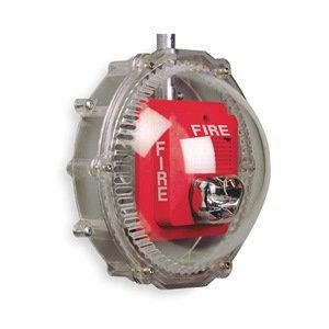 Audible and Strobe Guard, Surface, 4-1/2D