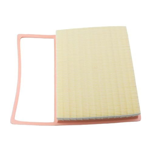 Beijing BJ30 (B30X) 1.5T-HEV Engine Air Filter 2023