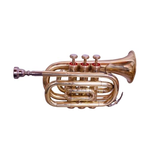 Queenbrass Queen Brass Pocket Trumpet Brass Finish Awesome Sounds Quality Bb W/Case+Mp Gold
