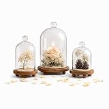 KMwares 3pcs Glass Bell Shape Dome Set (5.7'/4.9'/4.3') | Cloche Display with Wood Base | Empty Domes, Not Included Decorations