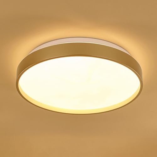 Plafon Luminária Led Sobrepor Chass Dourado 30w Multicolor Bivolt SL