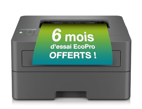Brother HL-L2400DWE Imprimante Laser A4 Wifi