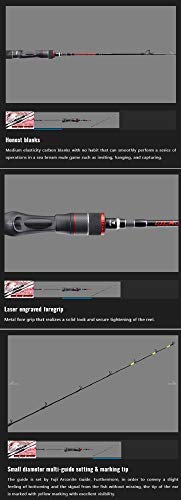 JACKALL(ジャッカル) BIN-BIN STICK RB 610ML-ST 5枚目