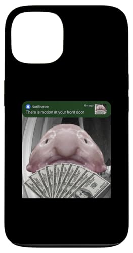 �u���u�t�B�b�V�����֐�œ��������� Fish Silly �X�}�z�P�[�X iPhone 13 �p