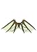 elope Dragon Wings Costume Accessory for Women and Men
