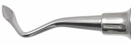 Large Bernard Spade Left Elevator, Premium Dental Instrument
