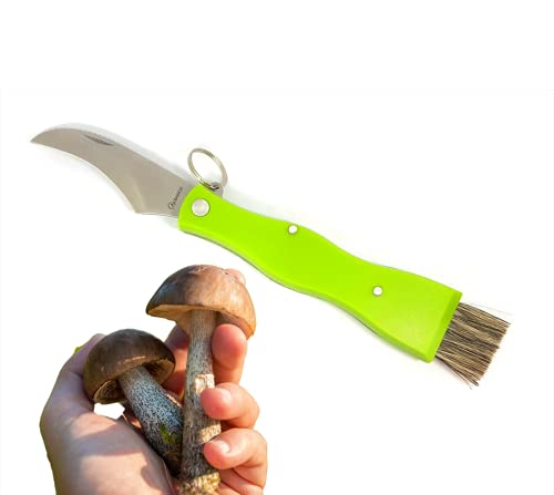 armeriaonline Coltello Funghi con Spazzola...