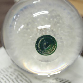 ハフォドグレンジHafodGrangeフラワーペーパーウエイトLセイヨウタンポポ Amazon.co.jp: HafodGrange ハフォドグレンジ 花文鎮フラワー