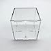 Clear Basketball Display Case Acrylic Football Basketball Storage Clear Box Sports Baseball Holder Container with Stand