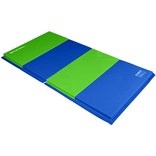 We Sell Mats 4 ft x 8 ft x 2 in Gymnastics Mat