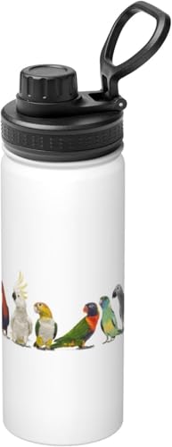 _F CR   킢 Aj  ^fM ۉ ۗ X|[c{g lC XeX{g X|[cΉ RȂ 530ml j̎q ̎q  l q ObY LN^[ a v[g WEY93