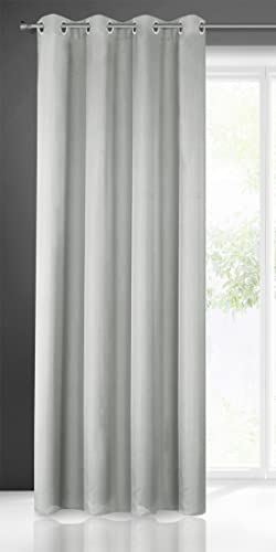 Eurofirany Rita Tenda Liscia Semplice Monocolore – 8 Occhielli Moderni, Camera da Letto, Soggiorno, Salone, cameretta dei Bambini, 1 Pezzo, Poliestere, Grigio Acciaio, 140 x 250 cm