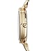 Imagen de Michael Kors MK3365 Reloj de Damas