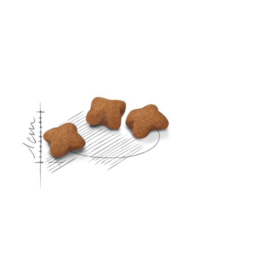 ROYAL CANIN Kitten STERILISED Trockennahrung für Katzen – 0.4 kg