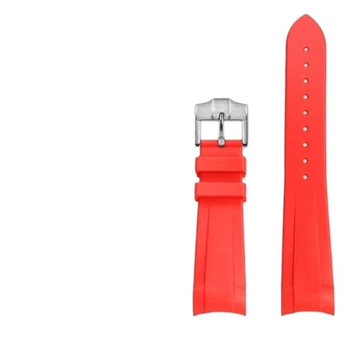 [ł] `[_[ r uY X[ Rbp[ t[ bh t[ A[N hEHb`oh Y VRohƌ݊(Red-silver pin)