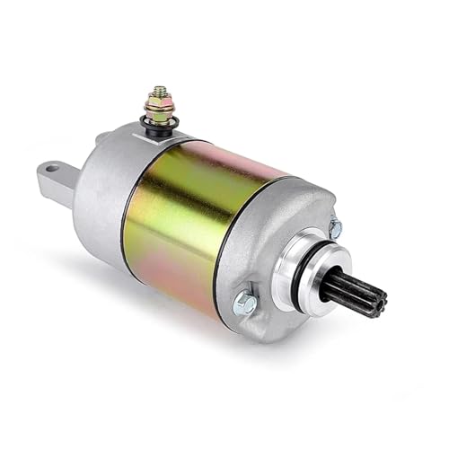 Démarreur pour Bighorn 4x4 260 ATV et 300 UTV pièce de rechange moteur Big Daddy 400