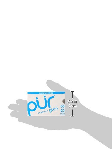 Pure Mints Gum Gum Peppermint 9 PC