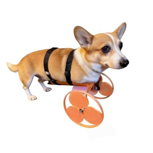 Adjustable Front Support Dog Mobility Cart – Dog Wheelchair for Front Leg Weakness or Injury – Lightweight Walking Aid for Small Dogs