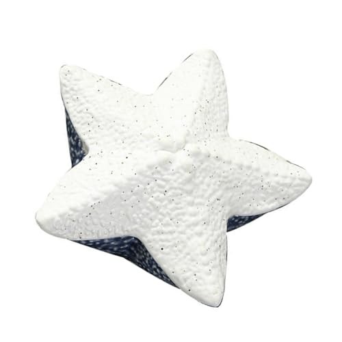 OATIPHO 1 Caja Joyero De Estrella De Mar Portaesponjas Poseedor Frasco Bol Barra De Jabón De Acero Titular Del Collar Tapa Bandeja De Café Rebaba Envase Decoración Porcelana Blanca
