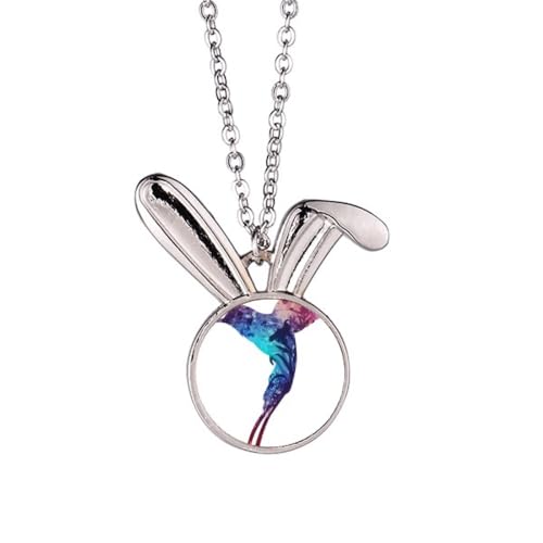 Collier avec pendentif coloré pour balades sereines avec votre chien