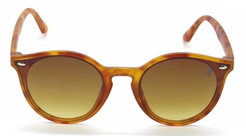 Óculos De Sol Polo London Club, UV400 Fashion Redondo Unissex (TARTARUGA)