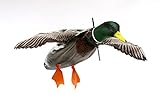 Deadly Decoy Hen Mallard Flyer Decoy, Multicolor