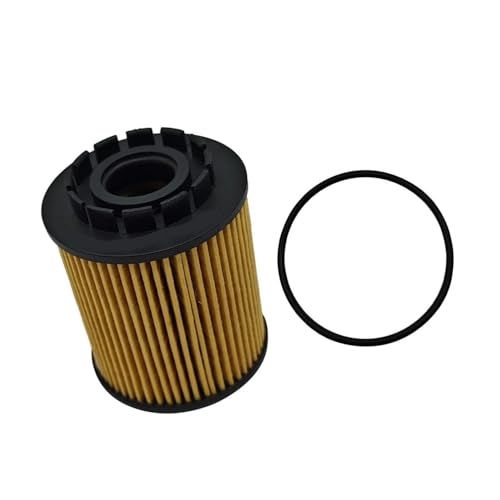 Filtre à huile adapté for H6 2.0T haute capacité de filtration 1017110XEN01