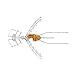 Televes 148883 Ellipse Mix Outdoor HDTV Antenna - Channels High-VHF/UHF, LTE/5G Filter