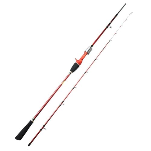 Canne à pêche calmar baitcasting 1,98m en 2 sections puissance max 120g - 2