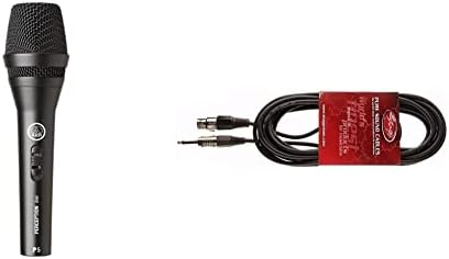 AKG P3s Professional Dynamic Live Vocal Microphone