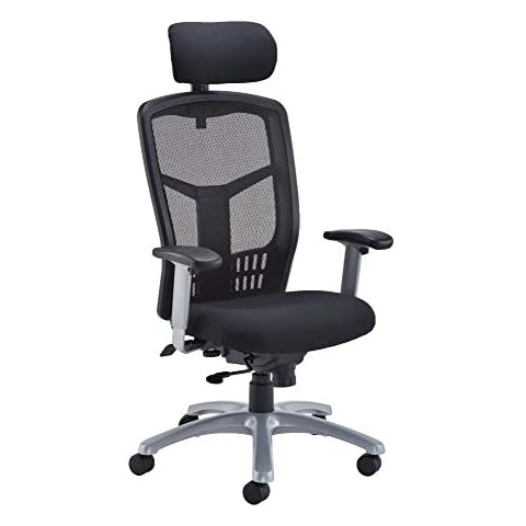 Office Hippo Ergonomic Desk Chair with Adjustments Cover