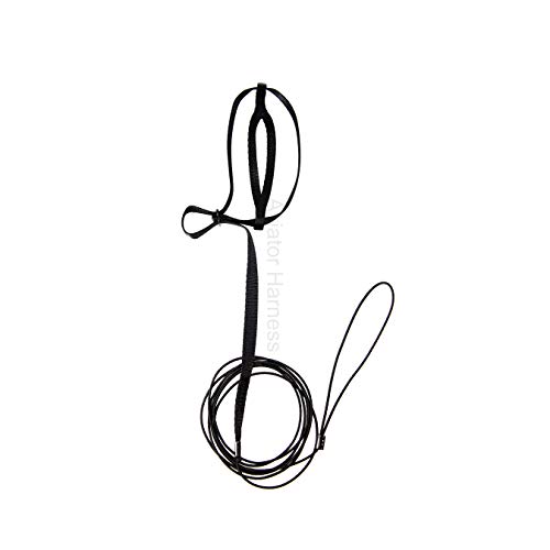 Image of Aviator Harness and Leash X-Small Black