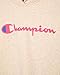 Champion Girls Hoodie and Sweatpant Set for Kids Athletic Fleece Sweatsuit